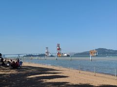 -大湾区中央湿地公园