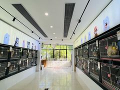 -翊宠yipet猫狗购宠庄园犬舍•猫舍