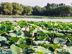 -沈阳市东陵公园