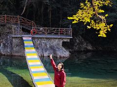 -龙湾潭国家森林公园