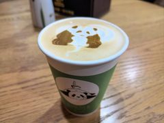 -都江堰中华大熊猫苑