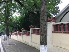 -八大关景区
