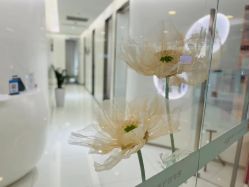-agge蛋白医美
