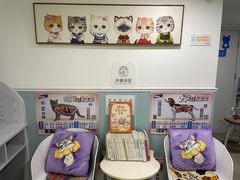 -纳吉亚猫专科动物医院·北北分院