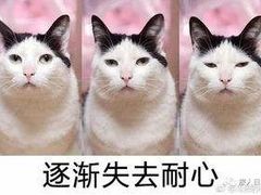 -Summer House夏莫手工坊团建活动(世博源店)