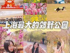 -上海长兴岛郊野公园