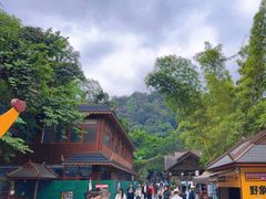-野象谷景区