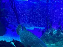 -沈阳海洋探索中心