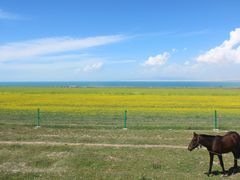 -青海湖国家重点风景名胜区