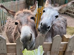 -水上乐园·欢乐世界