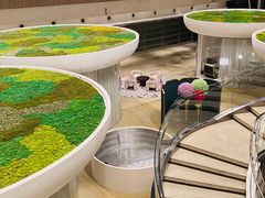 -上海外滩茂悦大酒店