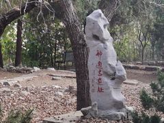 -四门塔风景区
