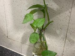 -新航道雅思托福·留学·考研培训(人民广场校区)