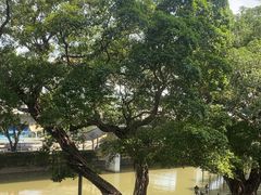 -广东胜利宾馆西关粤中餐厅