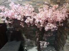 -桃屋日本料理(清华科技园店)