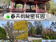 -元大都城垣遗址公园
