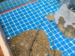 -连锦记海鲜烧烤大排档·锦州特色(西安路交大店)