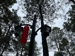 -临平公园(临平街道)