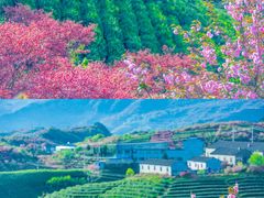 -四明山国家森林公园