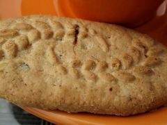 -森居forest休闲咖啡聚集地