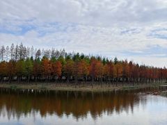 -黄海国家森林公园