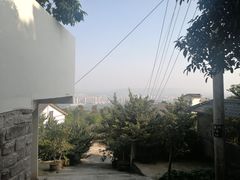 -南山植物园