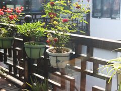露天位-同得兴 Since·1995 传统苏式面馆(十全街店)