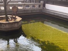 -麒麟小院·老九江菜(安平路店)