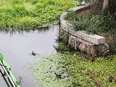 -尚贤河湿地