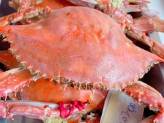 -渔民船说·北塘海鲜·天津菜·海肠捞饭(北塘古镇店)