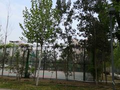 -郑州枫杨外国语学校