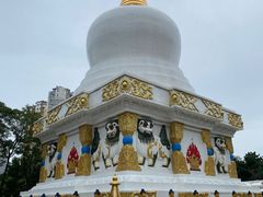 -护国法轮寺