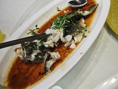 -绿雅酒家(江西中路店)