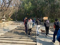 -灵岩山风景区