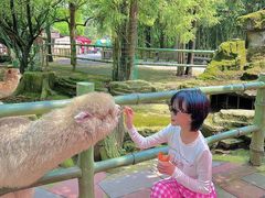 -贵州森林野生动物园
