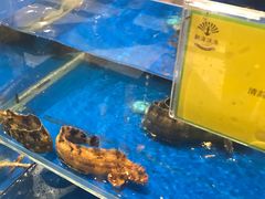 -新海渔港·胶东海鲜家常菜·家宴(奥体中心店)