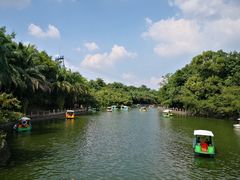 -广东茂名森林公园