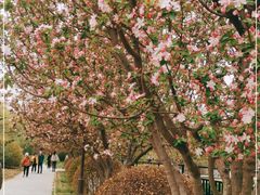 -元大都城垣遗址公园