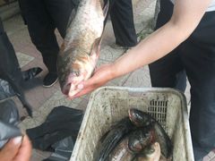 -白渔泡湿地公园