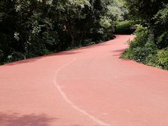 -敬亭山风景名胜区