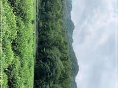 -法云安缦酒店