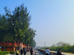 -宝安西湾红树林湿地公园