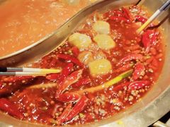 -小龙坎火锅(春熙太古里店)