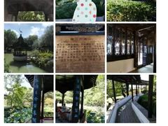-上海醉白池公园