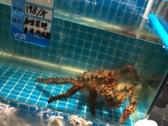 -烧货·活海鲜炭烧(湖滨商业街店)