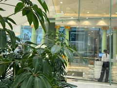 -大树餐厅(环球港店)