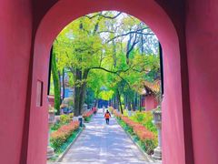 -南岳衡山风景名胜区