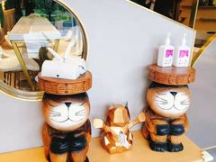 -飞行喵MR PILOT|猫舍·猫咖(静安大融城店)