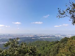 -紫金山山顶公园