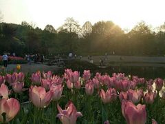 -杭州半山国家森林公园